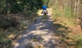 Trail Horseback riding Raon-l'Étape - Yogo Claude tivio kaline - Photo 1