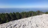 Tour Wandern Beaumont-du-Ventoux - crêtes de cachillan - Photo 3