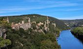 Randonnée Marche Saint-Martin-d'Ardèche - Aigueze rocher de Castelviel - Photo 14
