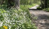 Tocht Stappen Sprimont - les forges . fraipont . andoumont . les forges - Photo 20