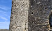 Percorso Marcia Saint-Étienne - Château de Rochetaillé  - Photo 8