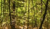 Tour Zu Fuß Weinheim - Rundwanderweg Ursenbacher Höhe 6: Eichelberg-Weg - Photo 6