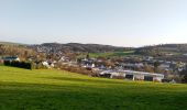 Tocht Te voet Reichshof - Wildbergerhütte Rundweg A3 - Photo 8