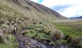 Trail Horseback riding Juncal - Cabalgata Culebrillas - Photo 19