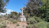 Tour Wandern Peyre en Aubrac - le rocher du Cher - Photo 10