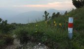 Randonnée A pied Capriasca - Cattle Trail - Photo 10