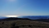 Tour Wandern Saint-Vallier-de-Thiey - Colle du Maçon,Le Doublier,  Castellaras de la Malle du Col du Ferrier - Photo 5