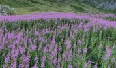 Randonnée Marche Val-d'Isère - pointe de la Galise (alpinisme) - Photo 4