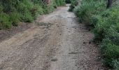 Tour Wandern Gardanne - l écomusée de gardanne - Photo 12