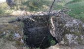 Trail Walking Hohrod - Circuit historique 1914-1918 Hohrodberg - Linge - Photo 10