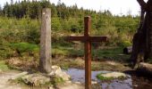 Tour Zu Fuß Malmedy - Baraque Michel : Croix des Fiancés-Hoegne-Six Hêtres - Photo 7