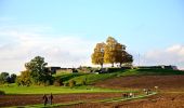 Tocht Te voet Pfäffikon - Pfäffikersee-Rundweg - Photo 7