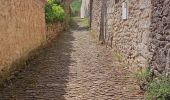 Tour Wandern Buoux - Buoux - Sivergues - Aigue brun - Photo 5