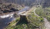 Tour Wandern Bad Niederbronn - Grand Wintersberg & plan d'eau Wolfartshoffen - Photo 17