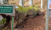 Tour Wandern Oberhaslach - roche pfaffenlapp. oberhaslach - Photo 1