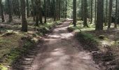 Tocht Stappen Vresse-sur-Semois - Rando au départ de Bohan  - Photo 4