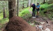 Randonnée Marche Pralognan-la-Vanoise - col de napremont - Photo 1