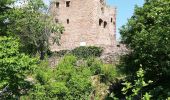 Tour Wandern Wettolsheim - 4 châteaux Wettolsheim Husseren - Photo 2