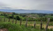 Trail Road bike Crozes-Hermitage - Rando les Rustines 75km - Photo 1