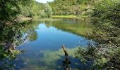 Trail Walking Roquebrune-sur-Argens - 20190612 Bougnon rando réelle  - Photo 3