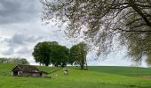 Randonnée Marche Grez-Doiceau - Bois de Gastuche - Photo 1