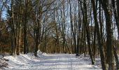 Tour Zu Fuß Oeversee - Libellenweg - Photo 3