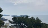 Trail Walking Hyères - Viens - Photo 5