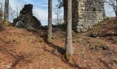 Randonnée A pied Gomadingen - Zugangsweg - Eichhalde (Markungsgrenze) - Bitz - Ruine Lichtenstein - Burren - Küche - Hermannsdorf - Photo 8