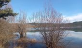 Tour Wandern Saint-Laurent-du-Verdon - Circuit du Chiron 14.1.23  - Photo 3