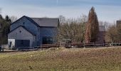 Percorso Marcia Ciney - Achene 110322 - Photo 12