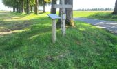 Trail Walking Ciney - Conjoux 300724 - Photo 12