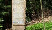 Tour Wandern Oberhaslach - Oberhaslach - Photo 3