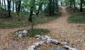 Tour Wandern Arbois - Arbois - Les planches - Rocher du feu - Arbois  - Photo 4