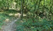 Randonnée Marche Chamarande - Forêt Départementale du Belvédère à Chamarande - Photo 14