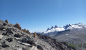 Trail Walking Besse - Pic du Mas de la Grave 3020m 9.7.25 - Photo 7