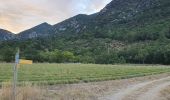 Tocht Stappen Beaumont-du-Ventoux - Ventoux direct - Photo 6