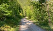 Trail Walking Champcella - Col de Tramouillon - Photo 1