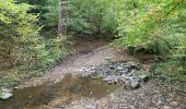 Tocht Stappen La Roche-en-Ardenne - Ramee  - Photo 7