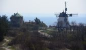 Tocht Te voet Gemeinde Retz - Rosstalenweg - Photo 7