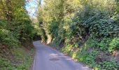 Randonnée Marche Liège - tour des terrils liégeois - Photo 3