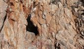 Percorso Marcia Ramatuelle - cap Camarat-golfe St Tropez-03-12-21 - Photo 11
