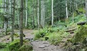 Randonnée Marche Cauterets - Cauterets > Lac de Gaube - Photo 11