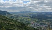 Trail Electric bike Millau - Millau gorges de la Dourbie - Photo 2