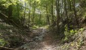 Trail Walking Anthisnes - Hody . drive d Anthisnes . carrière . Targnon . Hestreux . Fond de Sart . Hody - Photo 5