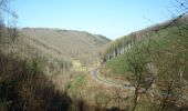 Tour Wandern Pütscheid - AP Gralingen - Photo 1