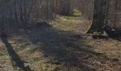 Randonnée V.T.T. Saint-Clément - sortie vtt du 15032020  - Photo 9