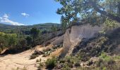 Excursión Senderismo Rustrel - Colorado de Rustrel - Photo 1