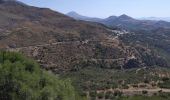 Tour Wandern Unknown - Myrthios-Sellia - Photo 2