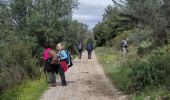Randonnée Marche Cuers - cuers valcros grotte de trubis sourse des 3 boeufs - Photo 1