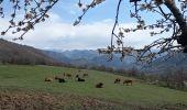 Tocht Stappen Entrevaux - Bay - Photo 10